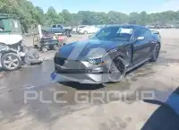 2019 Ford MUSTANG photo