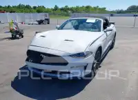 2019 Ford MUSTANG фото