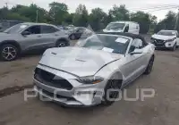2019 Ford MUSTANG фото