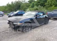 2019 Ford MUSTANG photo