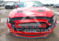 2019 Ford MUSTANG photo