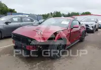 2019 Ford MUSTANG photo