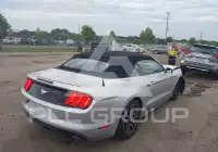 2019 Ford MUSTANG фото
