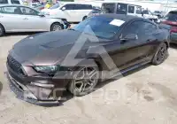 2019 Ford MUSTANG фото