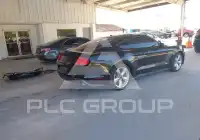 2019 Ford MUSTANG photo