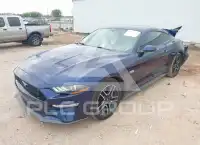 2019 Ford MUSTANG фото