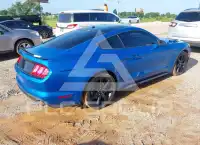 2019 Ford MUSTANG фото