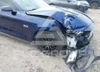 2019 Ford MUSTANG фото