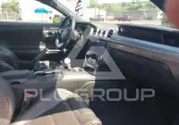 2019 Ford MUSTANG photo