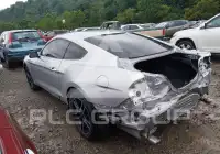 2019 Ford MUSTANG фото