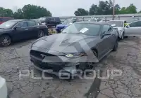 2019 Ford MUSTANG фото