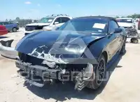 2019 Ford MUSTANG фото