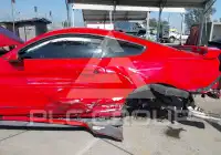 2019 Ford MUSTANG photo