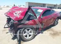 2019 Ford MUSTANG фото