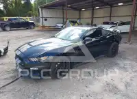 2019 Ford MUSTANG фото