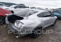 2019 Ford MUSTANG фото