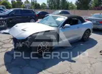 2019 Ford MUSTANG фото