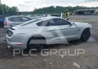 2019 Ford MUSTANG фото