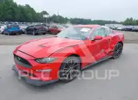 2019 Ford MUSTANG фото