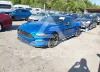 2019 Ford MUSTANG photo