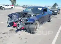 2019 Ford MUSTANG фото