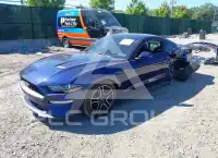 2019 Ford MUSTANG photo