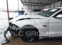 2019 Ford MUSTANG photo