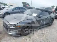 2019 Ford MUSTANG фото
