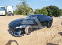 2019 Ford MUSTANG фото