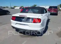 2019 Ford MUSTANG фото