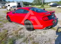 2019 Ford MUSTANG photo
