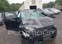 2019 Ford Eco Sport фото