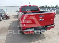 2019 Ford RANGER фото