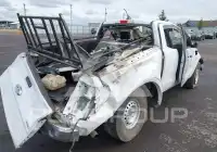 2019 Ford RANGER photo