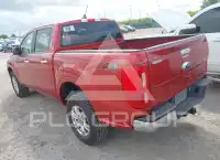 2019 Ford RANGER фото