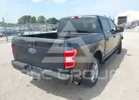 2019 Ford F-150 фото