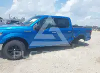 2019 Ford F-150 photo