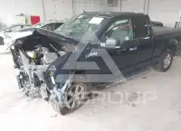 2019 Ford F-150 photo