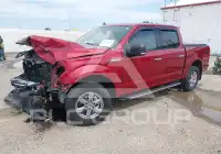 2019 Ford F-150 фото