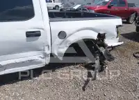 2019 Ford F-150 фото