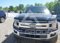 2019 Ford F-150 фото