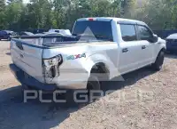 2019 Ford F-150 photo