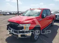 2019 Ford F-150 фото