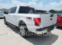 2019 Ford F-150 фото