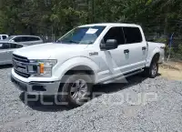 2019 Ford F-150 фото