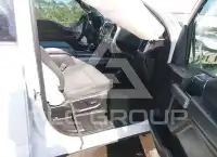 2019 Ford F-150 photo