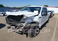 2019 Ford F-150 фото