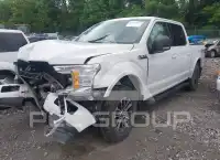 2019 Ford F-150 фото