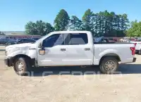 2019 Ford F-150 photo