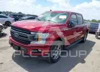 2019 Ford F-150 photo